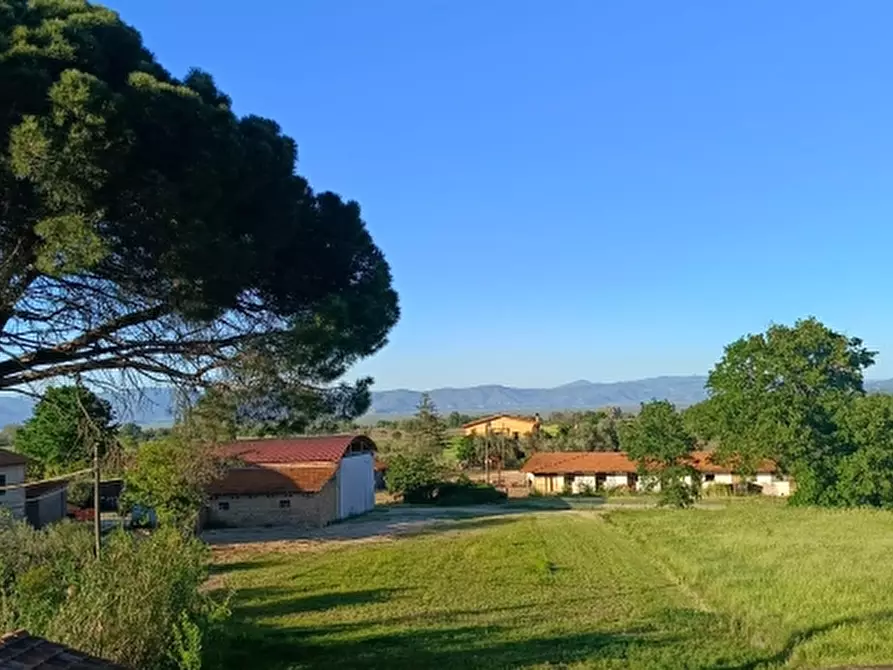 Immagine 16 di Casa indipendente in vendita  in Via dell'Anguillara a Castiglione Del Lago