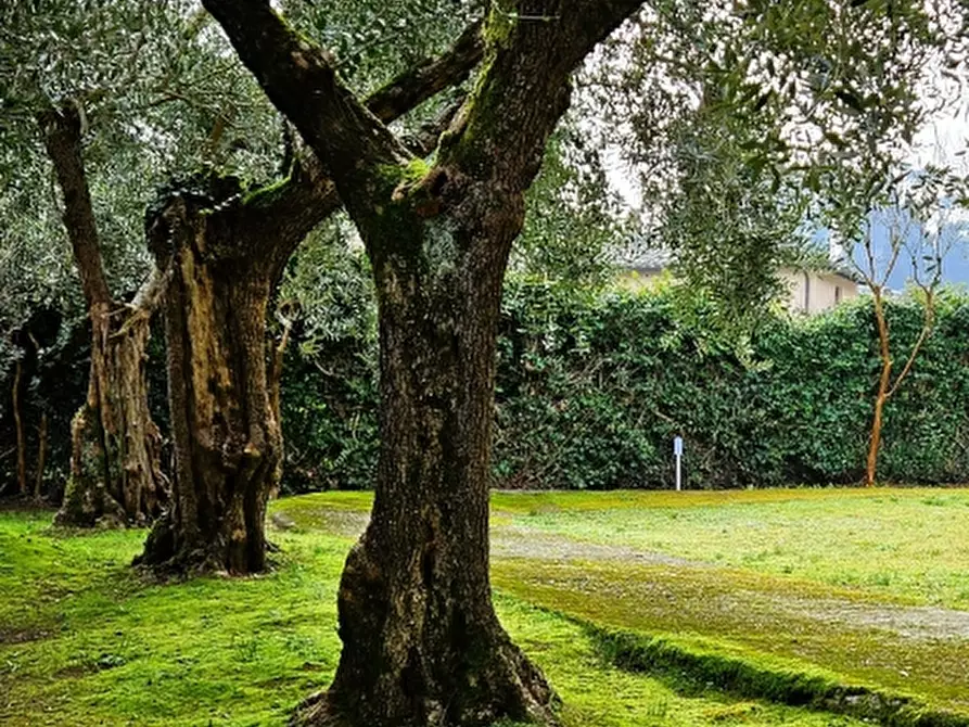 Immagine 21 di Villa in vendita  in Via Garibaldi a Cetona