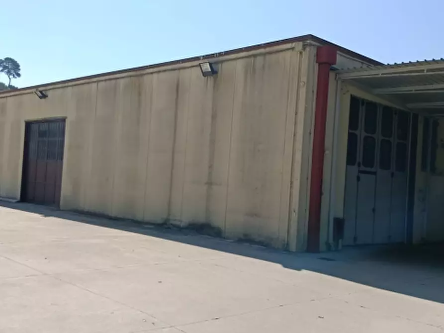 Immagine 7 di Capannone industriale in affitto  in Via Ludovico Ariosto a Magione