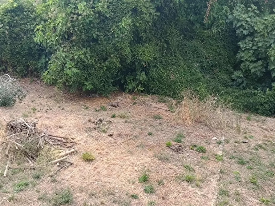 Immagine 4 di Casa bifamiliare in vendita  in Via Casenuove a Magione