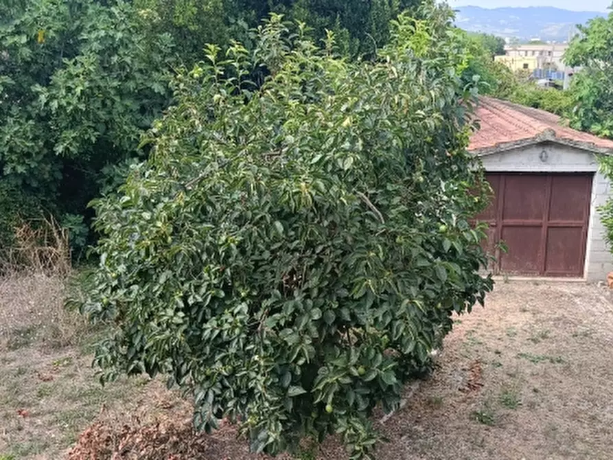 Immagine 17 di Casa bifamiliare in vendita  in Via Casenuove a Magione
