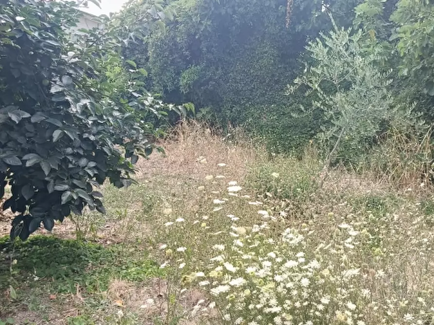 Immagine 2 di Casa bifamiliare in vendita  in Via Casenuove a Magione
