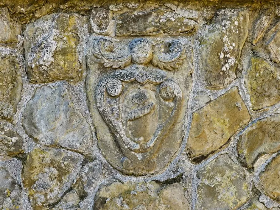 Immagine 15 di Villa in vendita  in Il Poggiolo 6 a Arezzo
