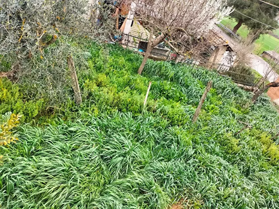 Immagine 17 di Casa semindipendente in vendita  in Via Mazzini a Castiglione Del Lago