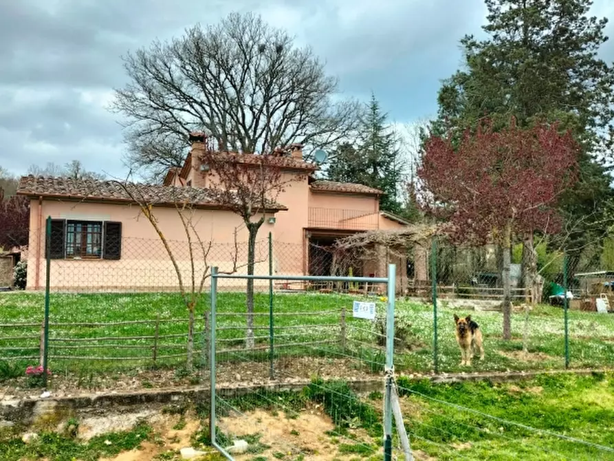 Immagine 4 di Casa indipendente in vendita  in Strada Acquaiola a Città Della Pieve