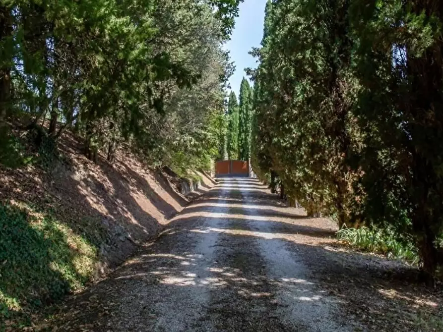 Immagine 22 di Casa colonica in vendita  in Strada del Pollaio a Cetona
