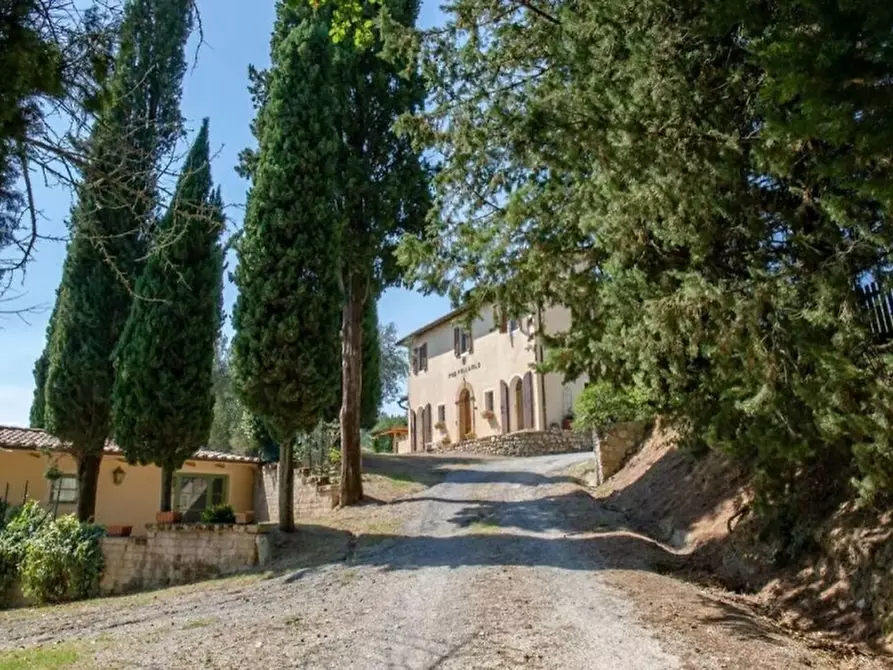 Immagine 24 di Casa colonica in vendita  in Strada del Pollaio a Cetona