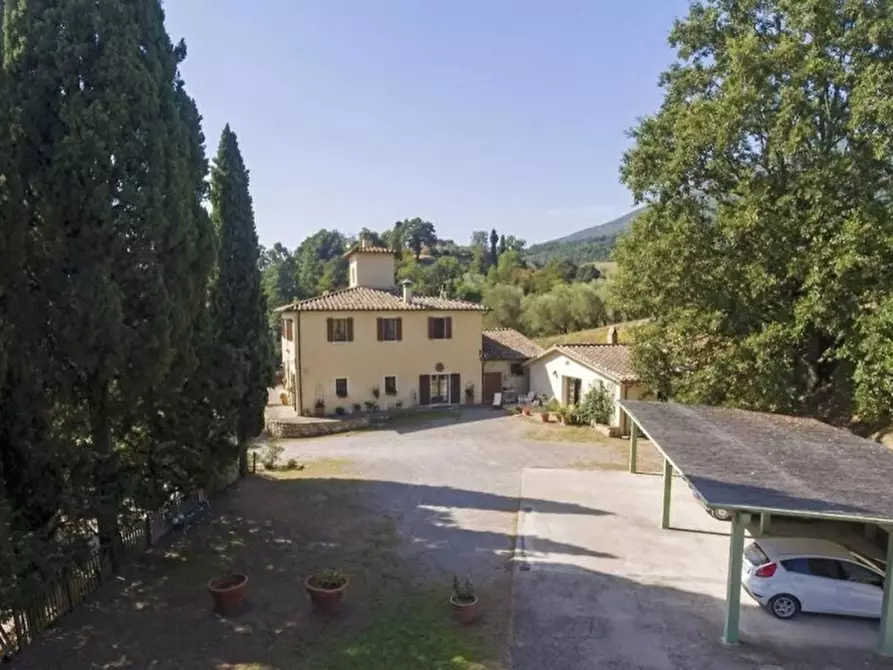 Immagine 4 di Casa colonica in vendita  in Strada del Pollaio a Cetona