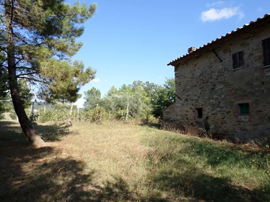 Immagine 7 di Rustico / casale in vendita  in Via del Lago a Panicale