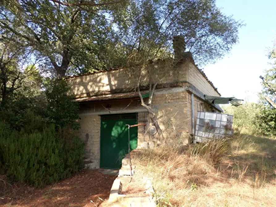 Immagine 14 di Rustico / casale in vendita  in Via del Lago a Panicale