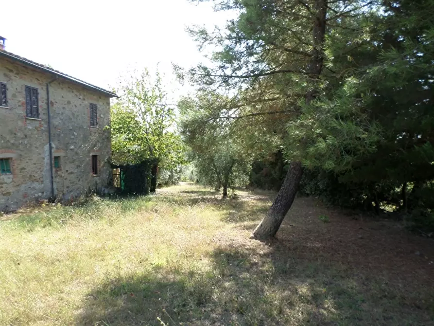 Immagine 3 di Rustico / casale in vendita  in Via del Lago a Panicale