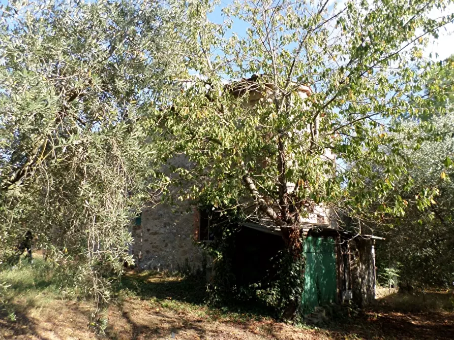 Immagine 5 di Rustico / casale in vendita  in Via del Lago a Panicale