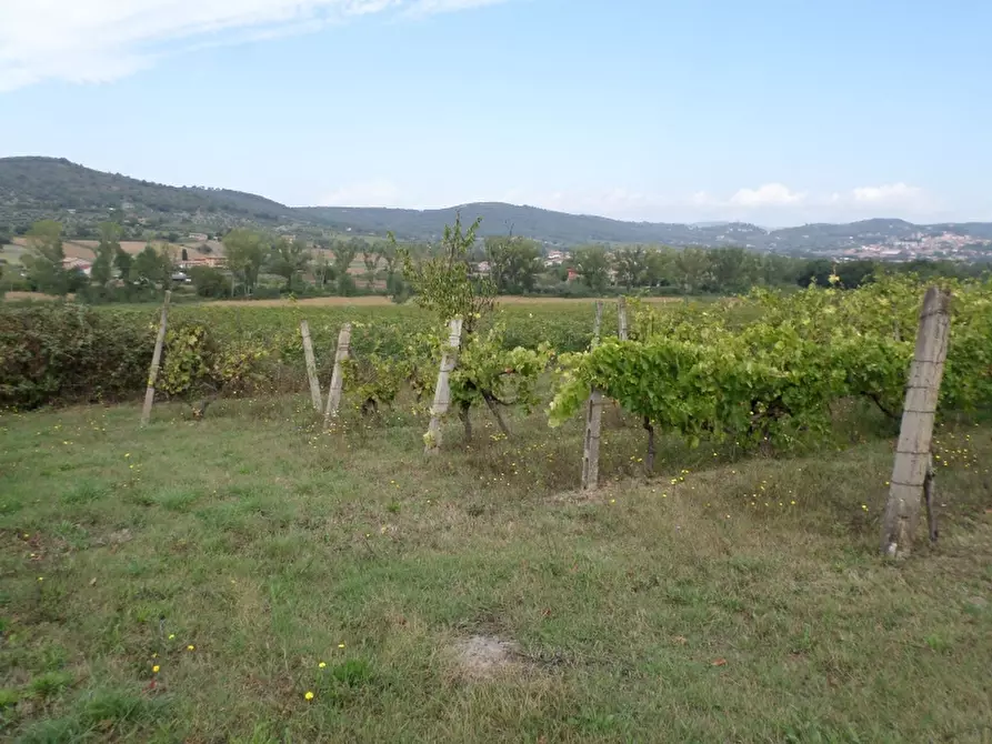 Immagine 3 di Terreno agricolo in vendita  in Via dei Molini a Magione