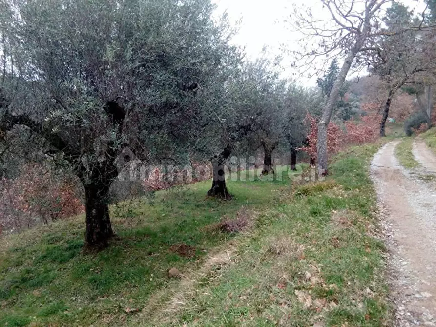 Immagine 3 di Terreno agricolo in vendita  in Via del Lavoro-Sant'Arcangelo a Magione