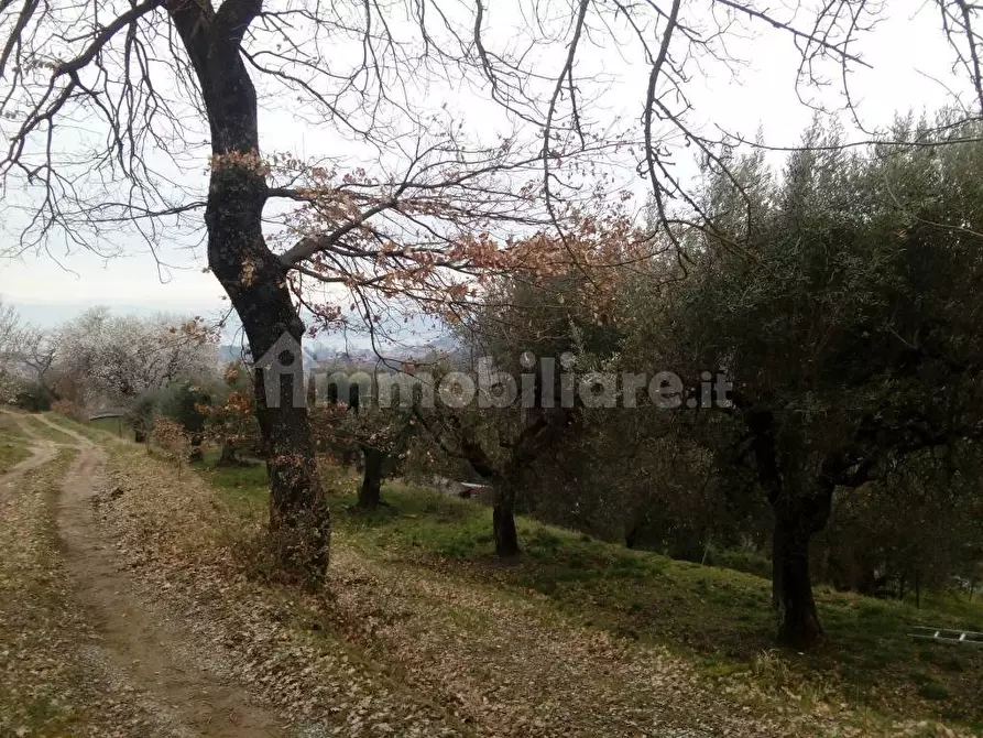 Immagine 4 di Terreno agricolo in vendita  in Via del Lavoro-Sant'Arcangelo a Magione