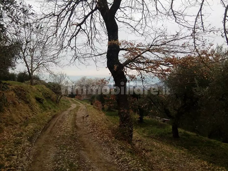 Immagine 5 di Terreno agricolo in vendita  in Via del Lavoro-Sant'Arcangelo a Magione