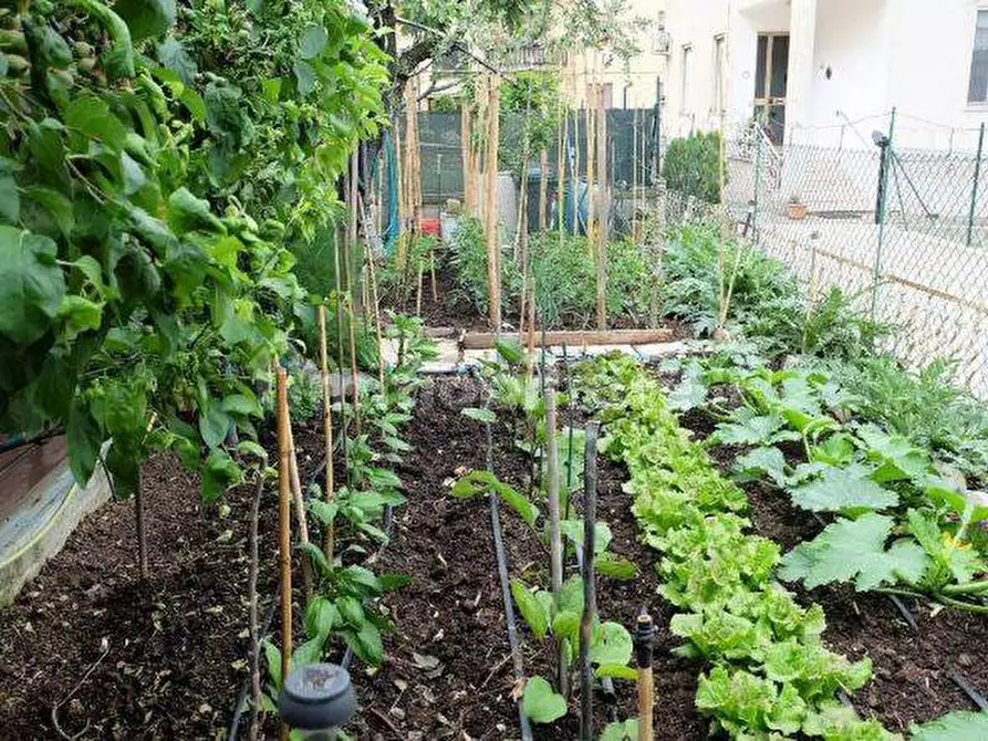 Immagine 7 di Palazzo in vendita  in Via Baldami a Magione