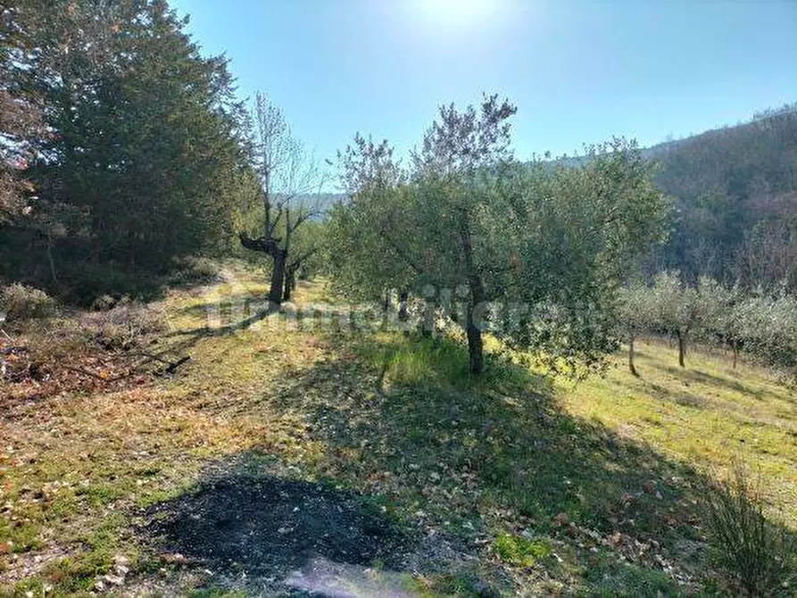 Immagine 3 di Terreno industriale in vendita  in Via della Cava a Magione