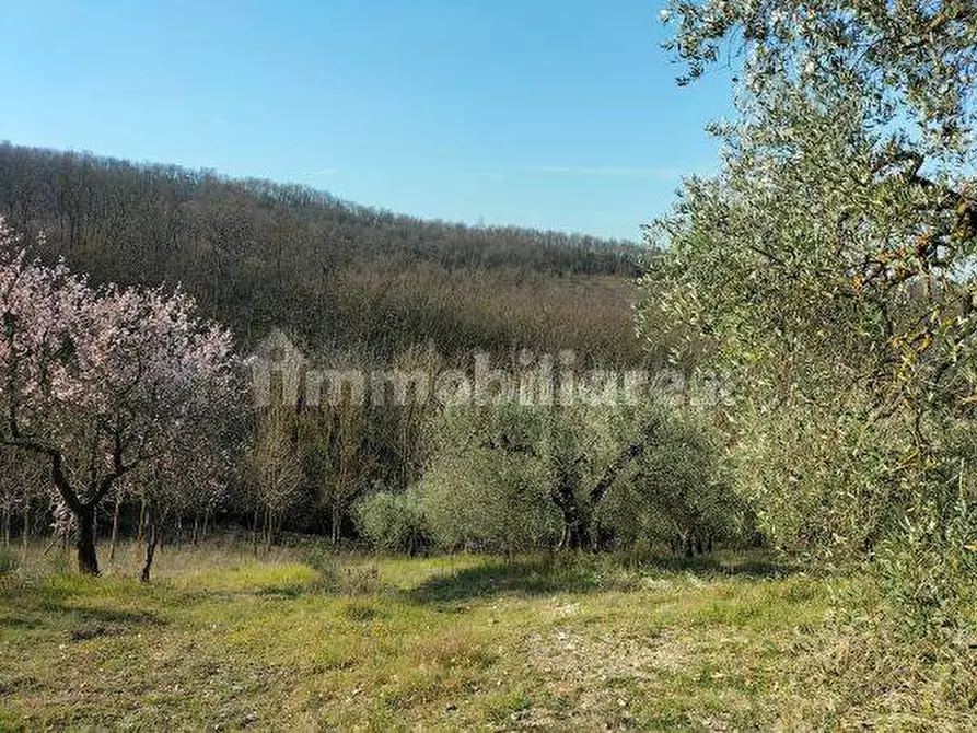 Immagine 4 di Terreno industriale in vendita  in Via della Cava a Magione