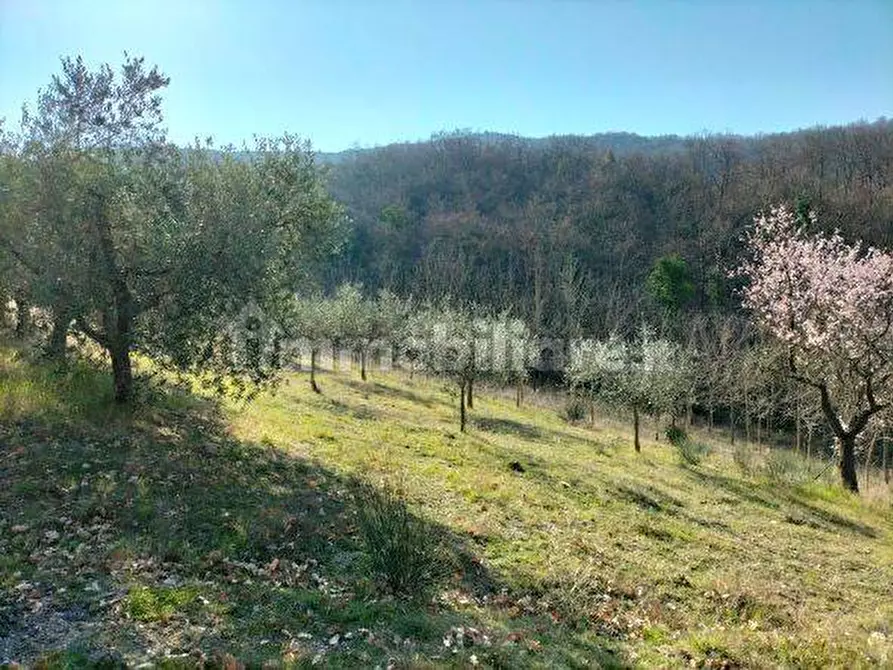 Immagine 6 di Terreno industriale in vendita  in Via della Cava a Magione