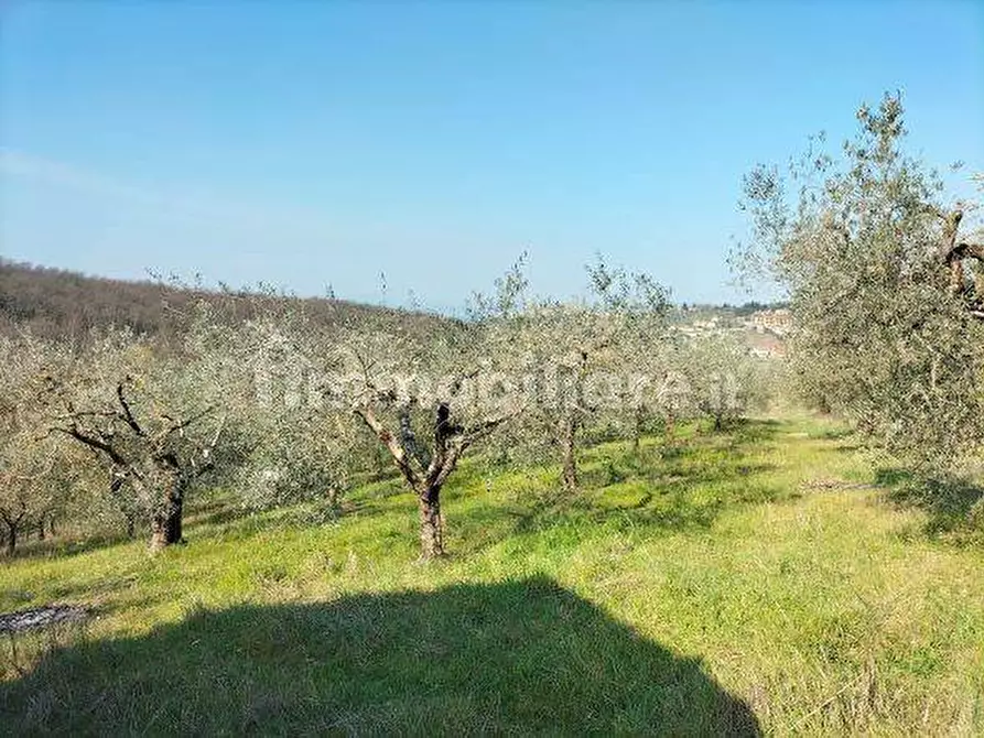 Immagine 7 di Terreno industriale in vendita  in Via della Cava a Magione