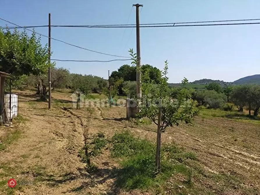 Immagine 3 di Terreno residenziale in vendita  in Panicale a Panicale