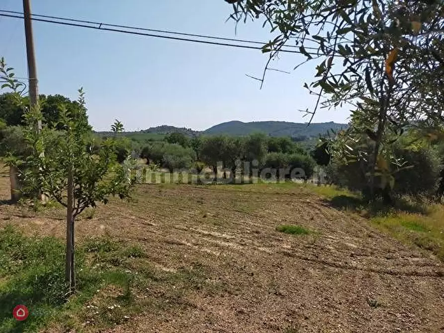 Immagine 4 di Terreno residenziale in vendita  in Panicale a Panicale