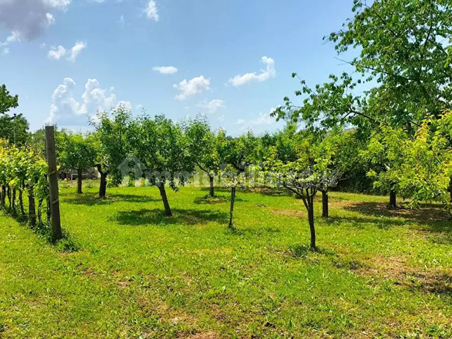 Immagine 3 di Terreno agricolo in vendita  in Via della Rondolina a Magione