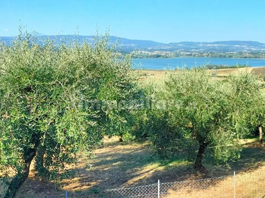 Immagine 2 di Casa semindipendente in vendita  in Via Ripida a Castiglione Del Lago