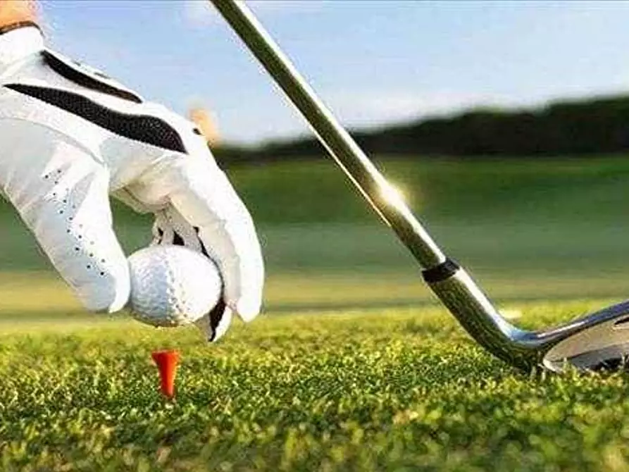 Immagine 6 di Villa in vendita  a Alassio