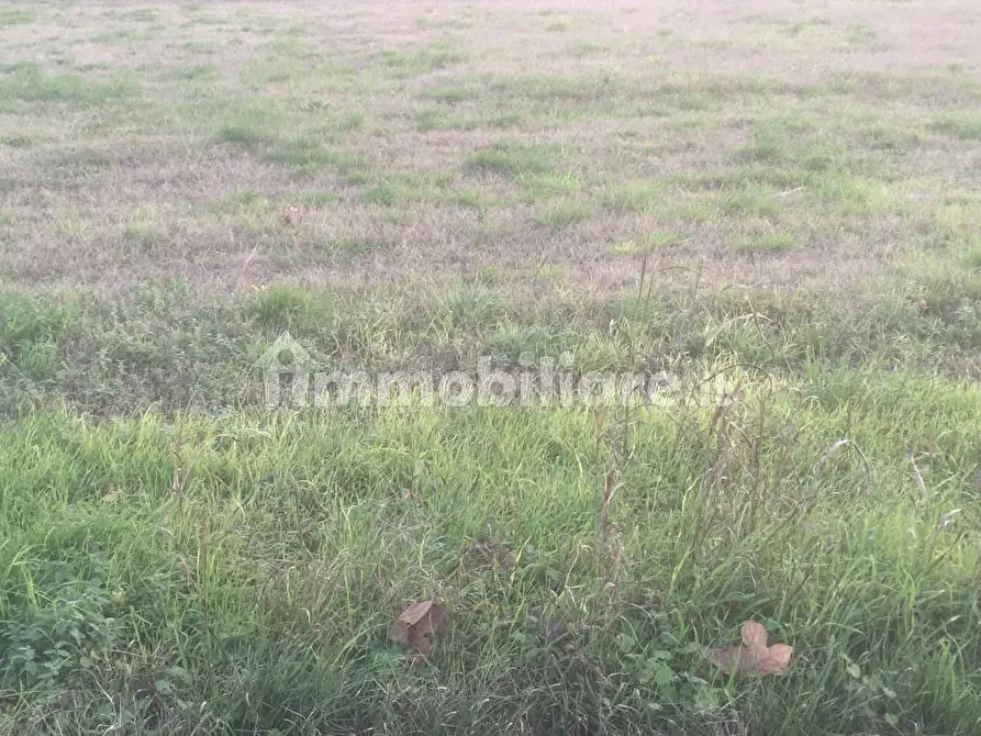 Immagine 11 di Terreno industriale in vendita  in Via Bovolino a Buttapietra