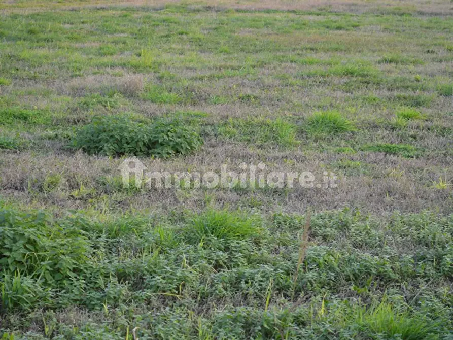 Immagine 5 di Terreno industriale in vendita  in Via Bovolino a Buttapietra