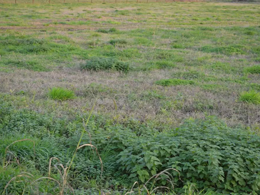 Immagine 7 di Terreno industriale in vendita  in Via Bovolino a Buttapietra