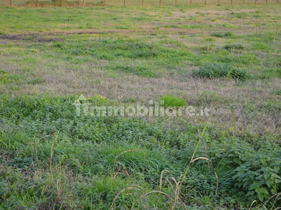 Immagine 8 di Terreno industriale in vendita  in Via Bovolino a Buttapietra