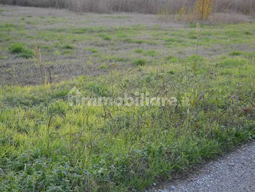 Immagine 9 di Terreno industriale in vendita  in Via Bovolino a Buttapietra