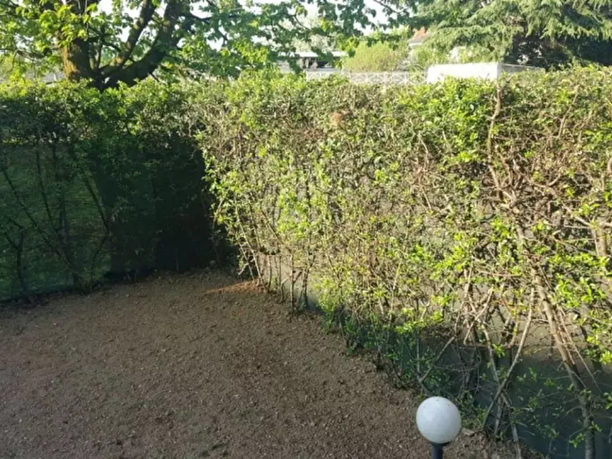 Immagine 5 di Monolocale in affitto  a Desio