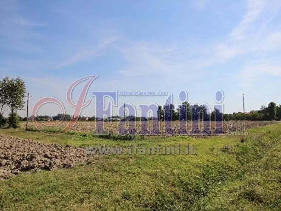 Immagine 3 di Terreno agricolo in vendita  in VIA ZACCARELLI a Sala Bolognese