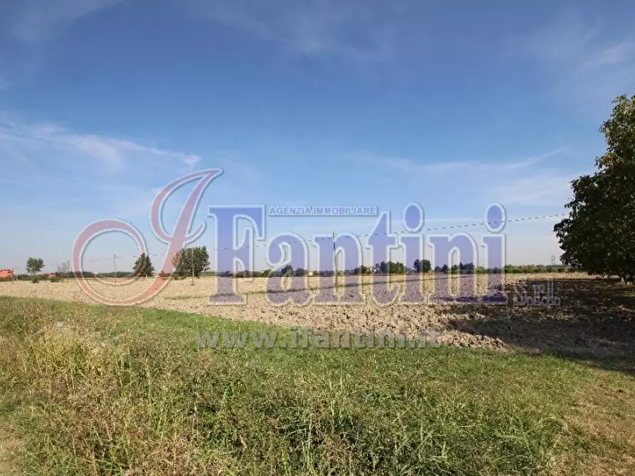 Immagine 4 di Terreno agricolo in vendita  in VIA ZACCARELLI a Sala Bolognese