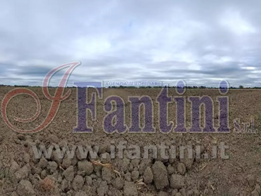 Immagine 2 di Terreno agricolo in vendita  in VIA PUNTA 13 a Calderara Di Reno