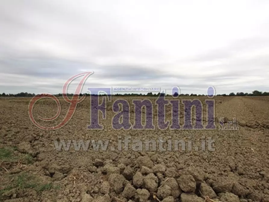 Immagine 3 di Terreno agricolo in vendita  in VIA PUNTA 13 a Calderara Di Reno