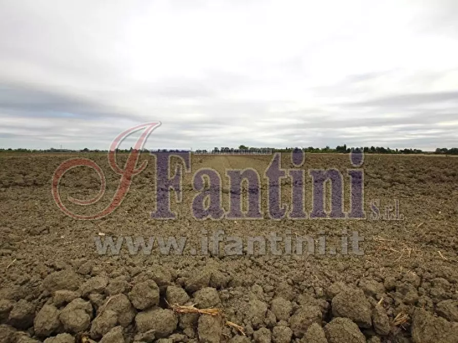 Immagine 4 di Terreno agricolo in vendita  in VIA PUNTA 13 a Calderara Di Reno