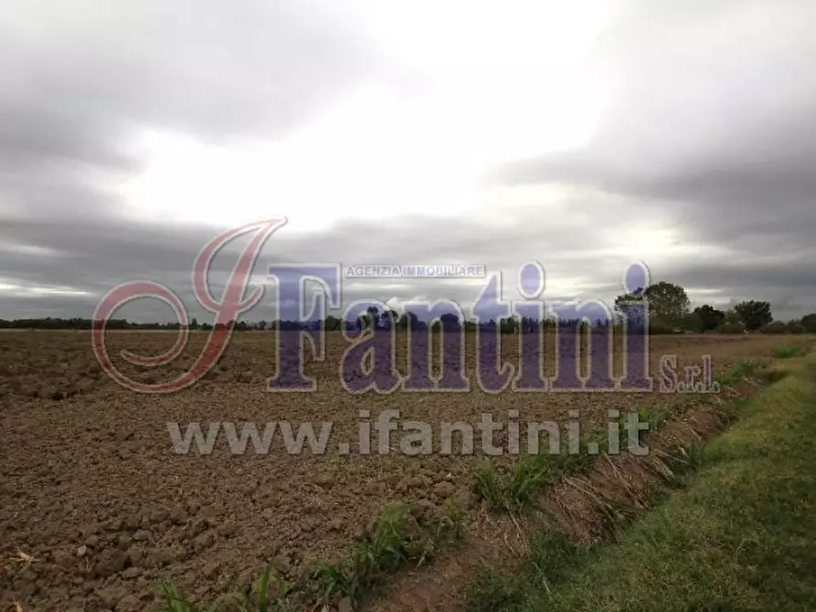 Immagine 5 di Terreno agricolo in vendita  in VIA PUNTA 13 a Calderara Di Reno