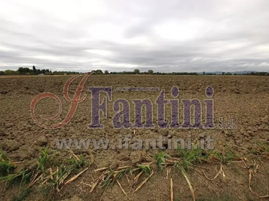 Immagine 6 di Terreno agricolo in vendita  in VIA PUNTA 13 a Calderara Di Reno
