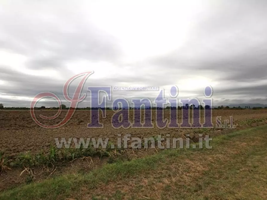 Immagine 7 di Terreno agricolo in vendita  in VIA PUNTA 13 a Calderara Di Reno