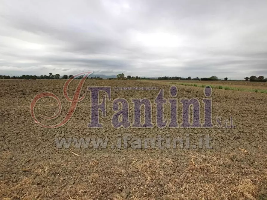 Immagine 8 di Terreno agricolo in vendita  in VIA PUNTA 13 a Calderara Di Reno