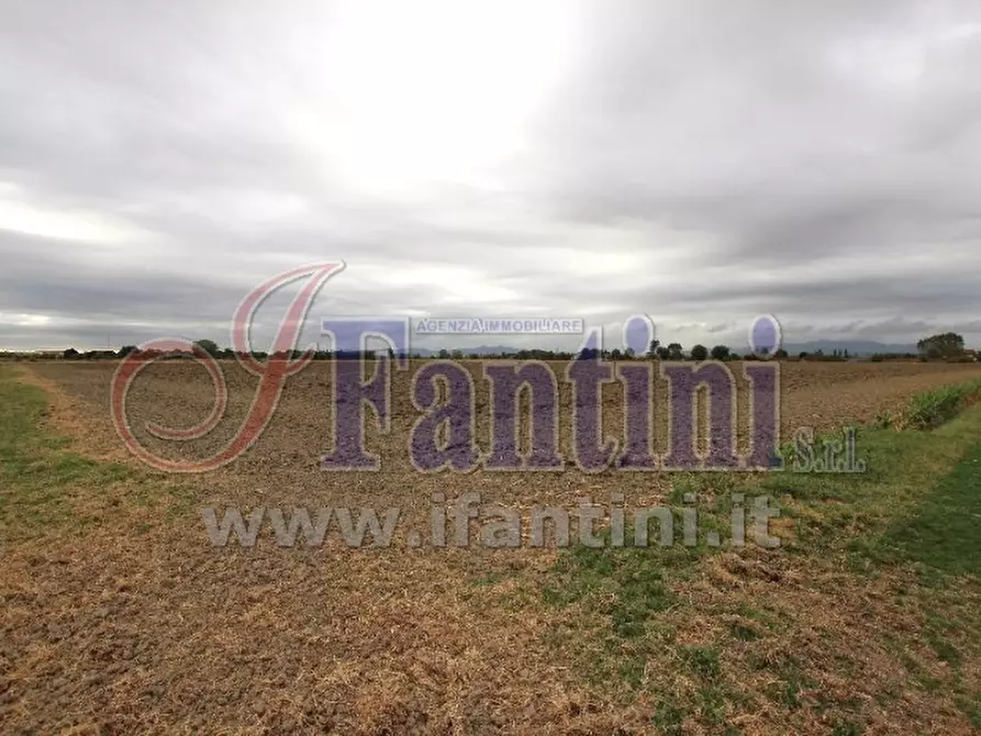 Immagine 9 di Terreno agricolo in vendita  in VIA PUNTA 13 a Calderara Di Reno