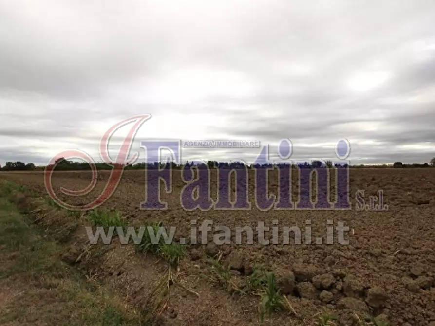 Immagine 10 di Terreno agricolo in vendita  in VIA PUNTA 13 a Calderara Di Reno
