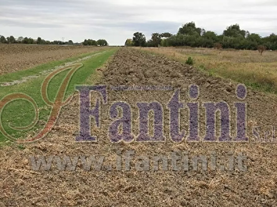 Immagine 11 di Terreno agricolo in vendita  in VIA PUNTA 13 a Calderara Di Reno