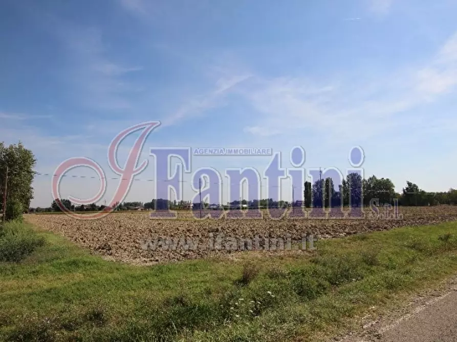 Immagine 5 di Terreno agricolo in vendita  in VIA ZACCARELLI a Sala Bolognese