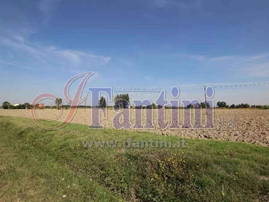 Immagine 6 di Terreno agricolo in vendita  in VIA ZACCARELLI a Sala Bolognese
